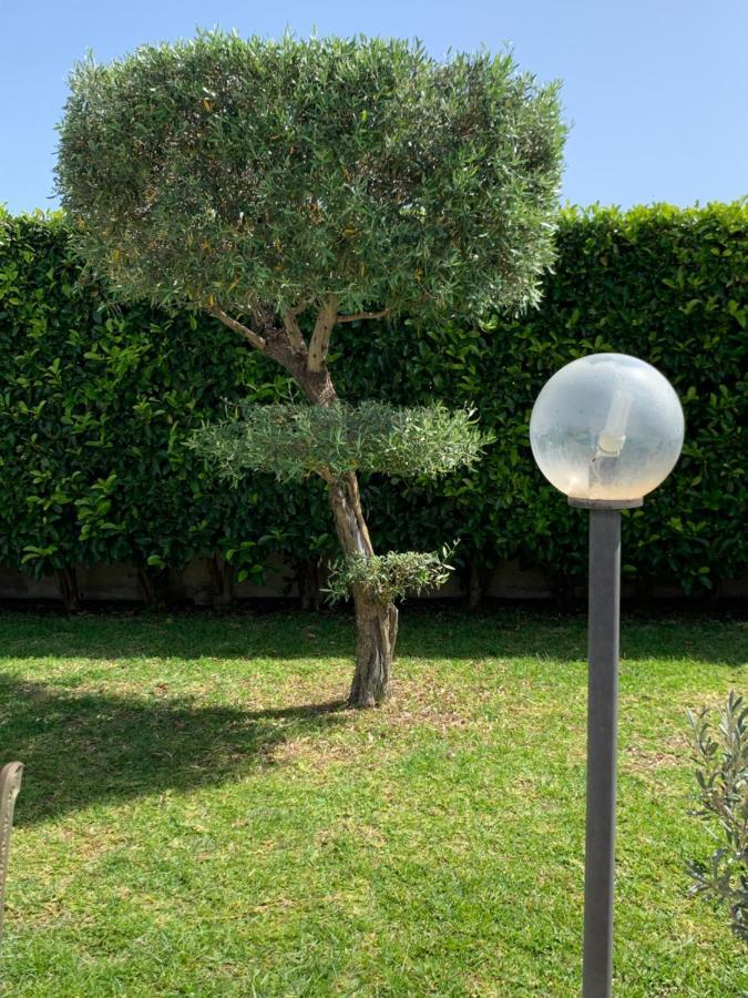 B&B Vittoria House Carlentini Buitenkant foto
